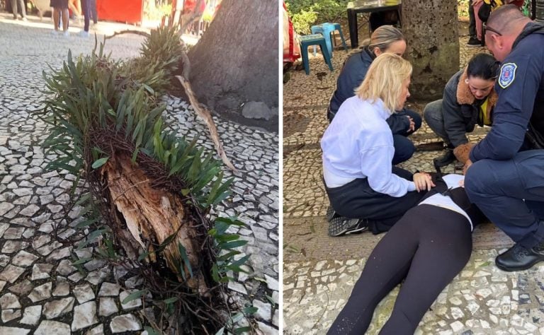 “Dilacerou a medula dela”, diz mãe