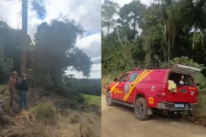 Idoso desaparecido com Alzheimer é achado morto em Rebouças