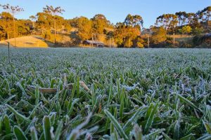 Massa de ar polar atinge o Paraná e temperaturas despencam nesta terça-feira, 23