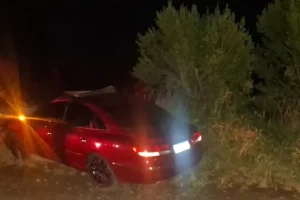 Menino de 10 anos morre após carro atingir cavalos no Paraná