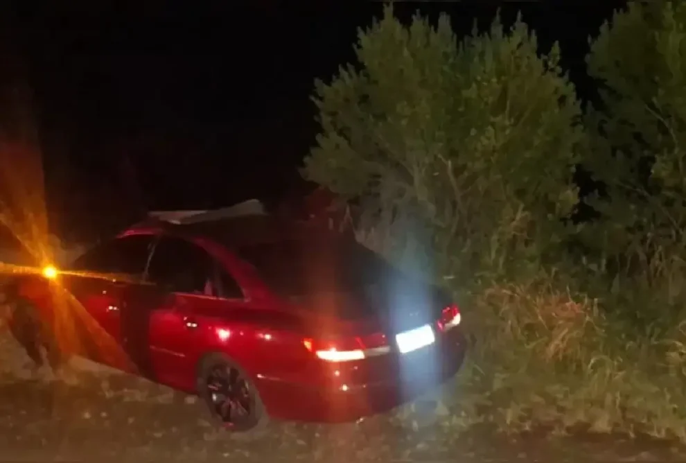 Menino de 10 anos morre após carro atingir cavalos no Paraná