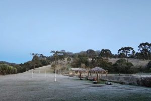 Paraná registra dia mais frio do ano com -2,9ºC; veja as cidades que tiveram recorde