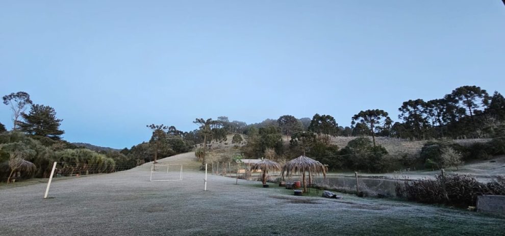 Paraná registra dia mais frio do ano com -2,9ºC; veja as cidades que tiveram recorde
