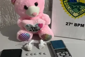 Polícia encontra crack escondido em ursinho de pelúcia no Paraná