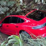 Porsche Panamera de Cascavel é abandonado em barranco