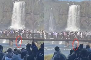 Turista pula nas águas das Cataratas do Iguaçu para recuperar celular; veja vídeo