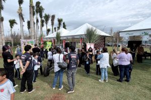 Usina Santa Terezinha apresenta ações de sustentabilidade