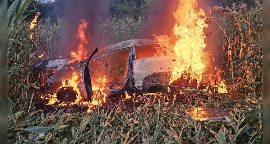 Veículo capota e é destruído por incêndio em rodovia da região; veja