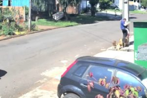 Vídeo flagra momento em que homem é atacado por vários cães, no Paraná