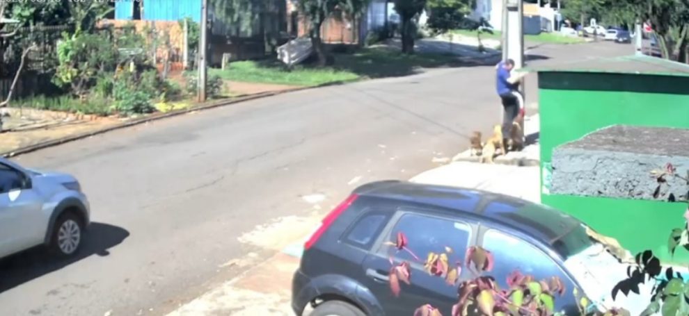 Vídeo flagra momento em que homem é atacado por vários cães, no Paraná