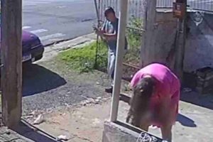 Vídeo mostra bebê nascendo em frente de casa no Paraná; parto aconteceu em segundos