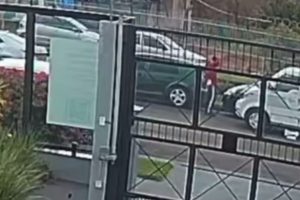 Vídeo mostra furgão de entrega batendo em carro estacionado e indo embora após motorista ver estrago em Maringá