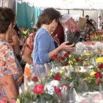 27ª Expoflor de Maringá tem data definida; plantas custam a partir de R$ 5