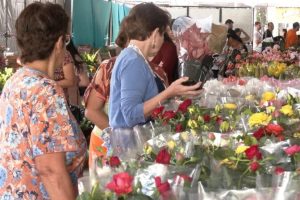 27ª Expoflor de Maringá tem data definida; plantas custam a partir de R$ 5