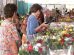 27ª Expoflor de Maringá tem data definida; plantas custam a partir de R$ 5