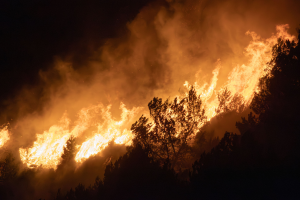 Incêndio florestal na Epsanha deixa 12 mortos e 23 desaparecidos