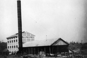 Maringá Histórica lança videodocumentário da Usina Santa Terezinha sobre os 62 anos de fundação