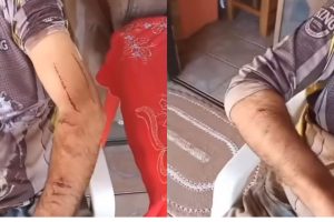 Vídeo: Produtor rural reage a ataque e dá soco em onça às margens de rio no Paraná: "Acertei em cheio"