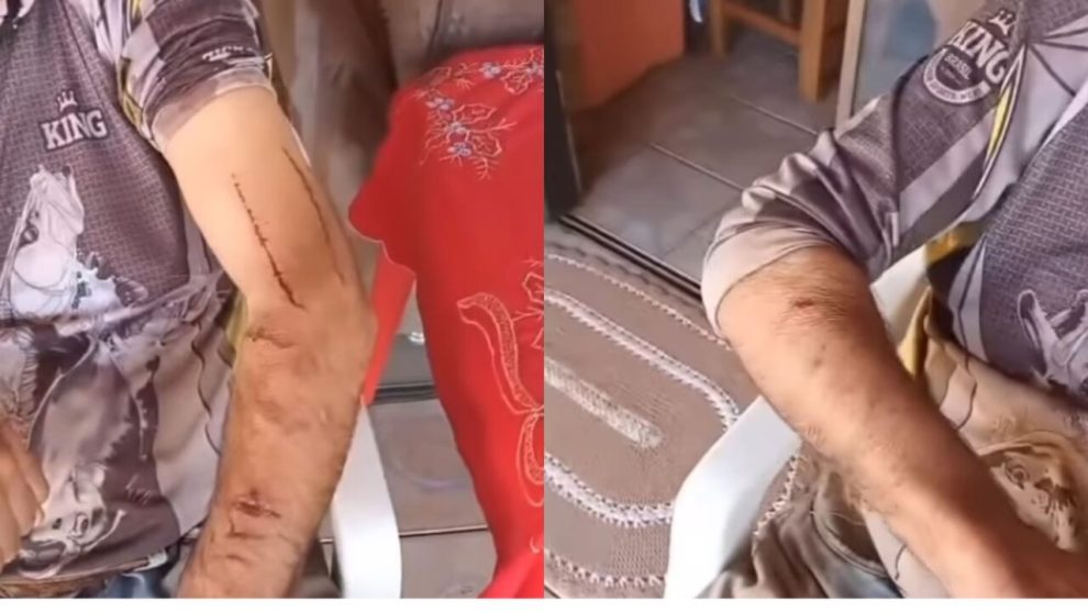 Vídeo: Produtor rural reage a ataque e dá soco em onça às margens de rio no Paraná: "Acertei em cheio"