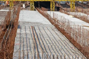 Da pequena empresa a grandes infraestruturas: entenda como funciona o licenciamento ambiental no Paraná