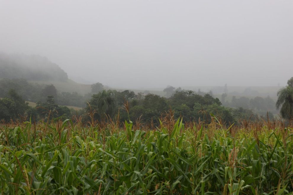 Maringá tem alerta de temporal e forte queda de temperatura nesta sexta-feira (12)
