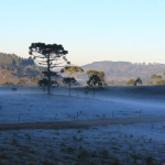paigaem de frio intenso