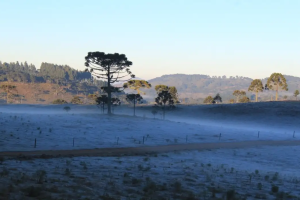 paigaem de frio intenso
