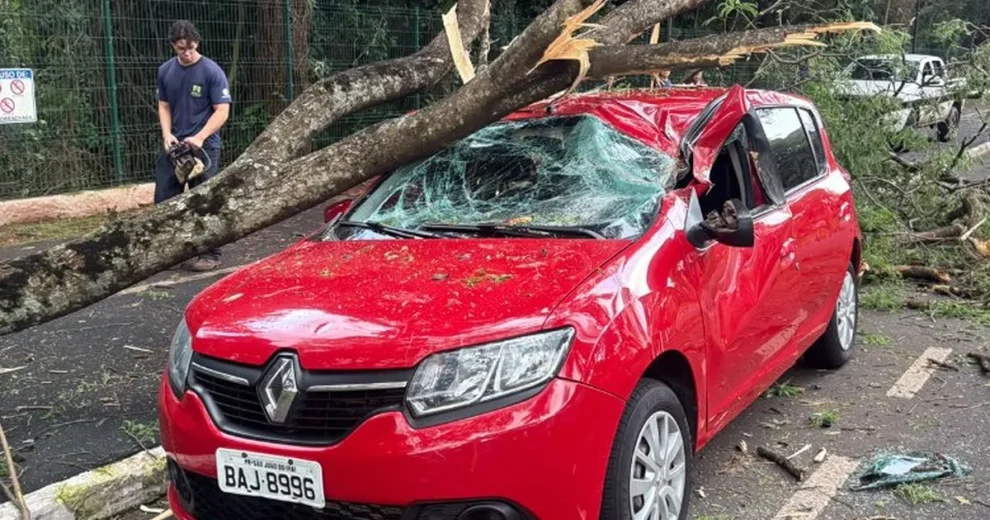 Galho de árvore cai e atinge carro com idoso dentro na Avenida São Paulo