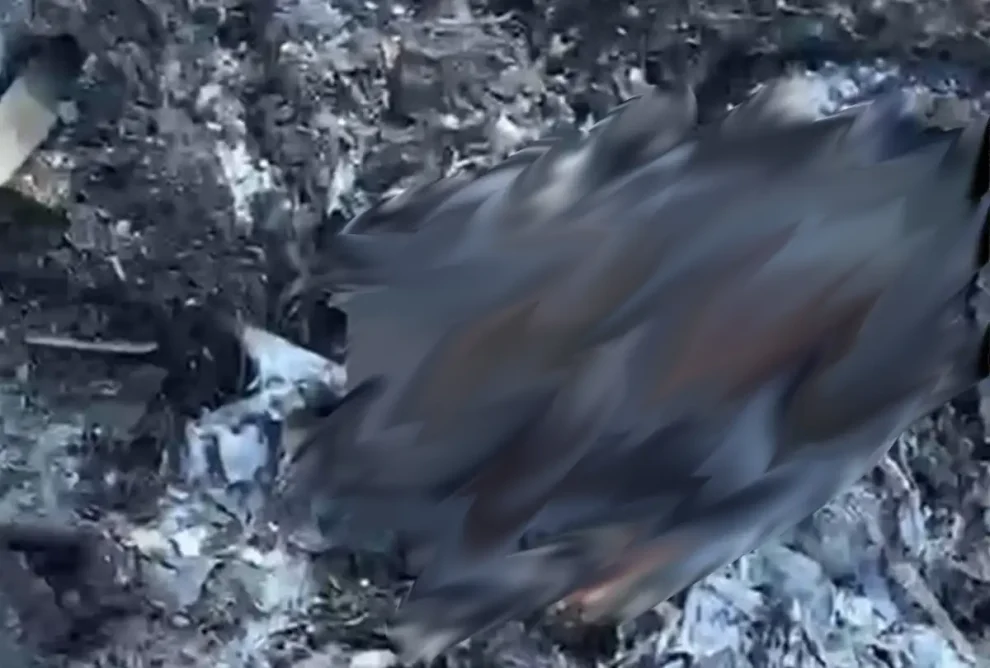 Recém-nascido é encontrado carbonizado em lixo após denúncia