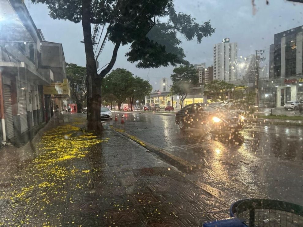 Maringá terá sexta-feira (2) de calor e possibilidade de chuva no fim da tarde, indica previsão do Simepar