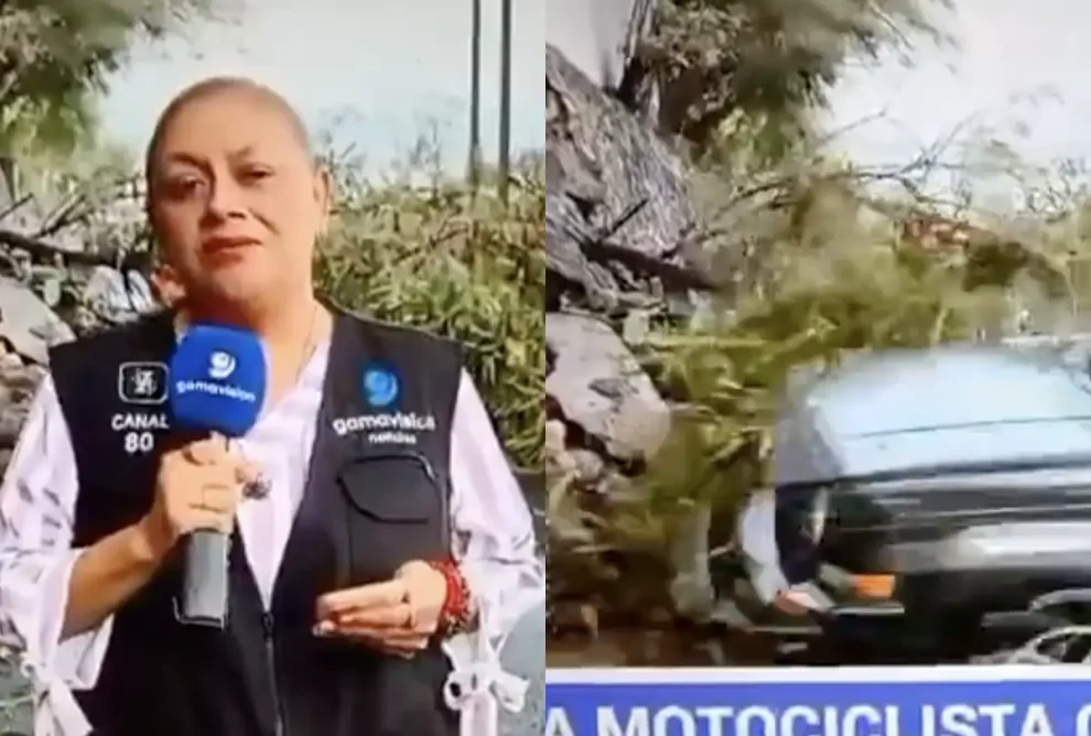 Repórter é atropelada ao vivo durante transmissão; veja vídeo