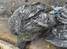 Sobe para nove o número de corpos encontrados em sacos de lixo